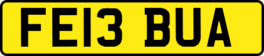 FE13BUA