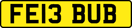 FE13BUB