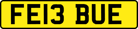 FE13BUE