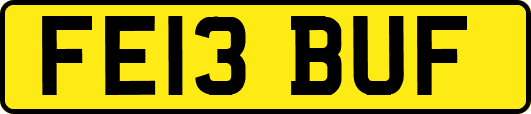 FE13BUF
