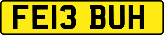 FE13BUH