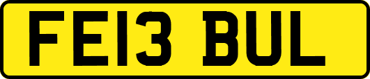 FE13BUL