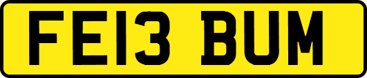 FE13BUM