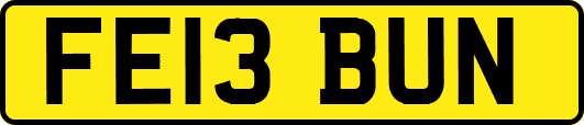 FE13BUN