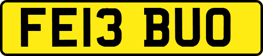 FE13BUO