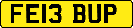 FE13BUP