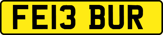 FE13BUR