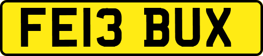 FE13BUX