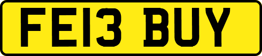 FE13BUY