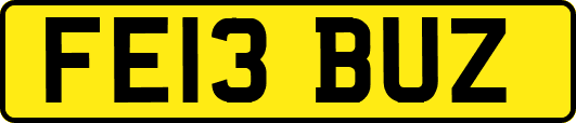 FE13BUZ