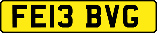 FE13BVG
