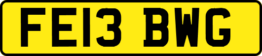 FE13BWG