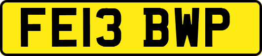 FE13BWP