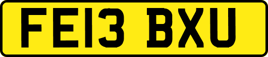 FE13BXU