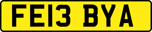 FE13BYA