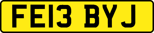 FE13BYJ