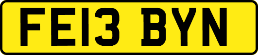 FE13BYN