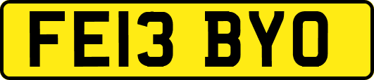 FE13BYO