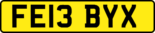 FE13BYX