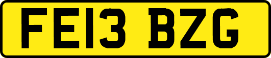 FE13BZG