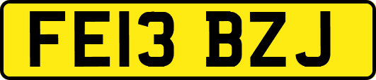 FE13BZJ