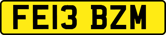 FE13BZM