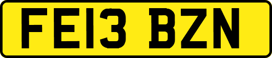 FE13BZN