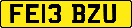 FE13BZU