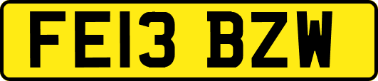 FE13BZW