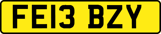 FE13BZY