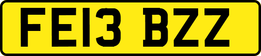 FE13BZZ