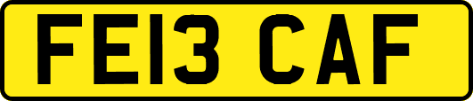 FE13CAF