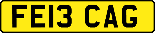 FE13CAG