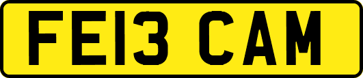 FE13CAM