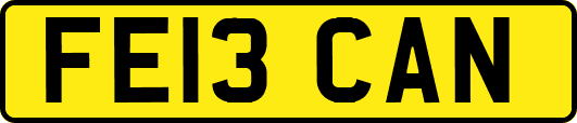 FE13CAN