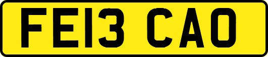 FE13CAO