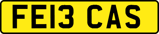 FE13CAS