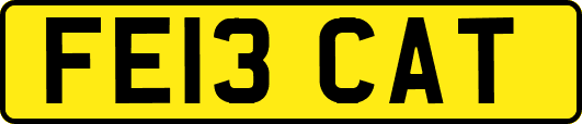 FE13CAT