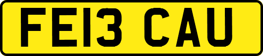 FE13CAU