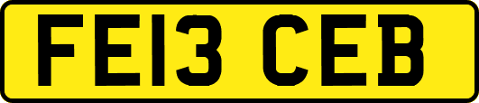 FE13CEB