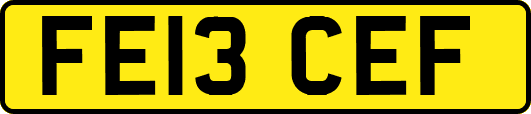 FE13CEF