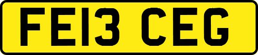 FE13CEG