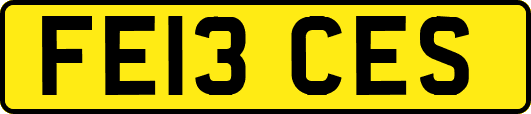 FE13CES