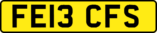 FE13CFS