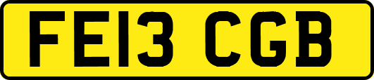 FE13CGB