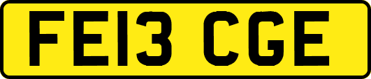 FE13CGE