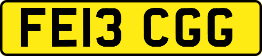 FE13CGG