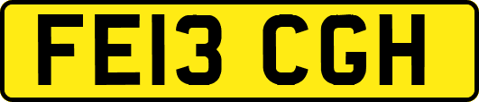 FE13CGH