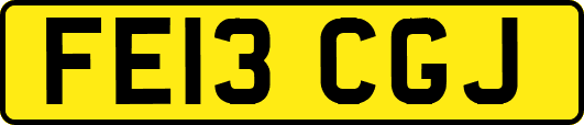 FE13CGJ