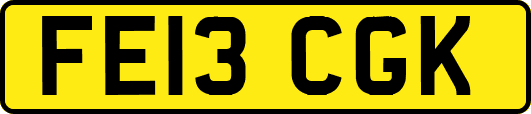 FE13CGK